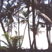  Half Moon Caye, Belize